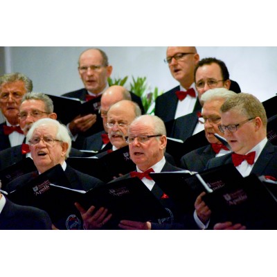 Het koor